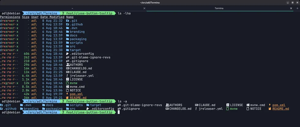 The Termina terminal emulator showing two tabs and a colorized directory listing in a shell session.